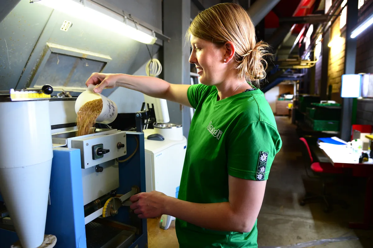 Eine junge Frau leert Getreidekörner in eine Maschine.
